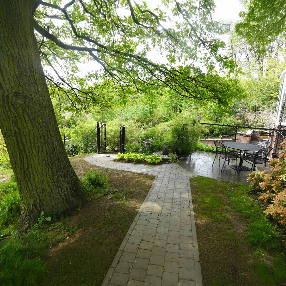 allee-terrasse-klinkers